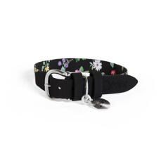 Omlet small dog collar midnight meadow