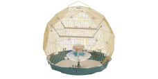 Omlet Geo bird cage with Gold cage and teal base