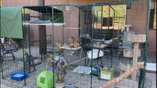Our bengals LOVE the catio. They want out at least three times a day! It has the added benefit of reducing undesirable behaviors (clawing at curtains, etc) by keeping them entertained. they have stopped trying to escape every time I open the door! Ve