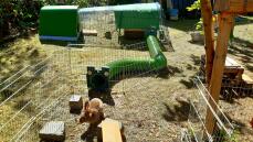 The Zippi rabbit tunnel connecting a hutch and run.