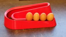 Allows for easy storage of eggs in order of laying