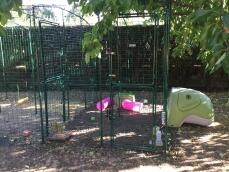 Green Eglu Classic for rabbits connected to Omlet walk in rabbit run