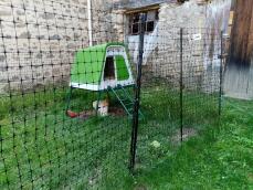 A chicken fence in a garden, surrounding a green chicken coop
