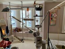 An indoor 'Freestyle' cat tree with various steps and ramps