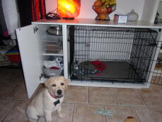 Puppy with Omlet Fido Nook dog crate furniture
