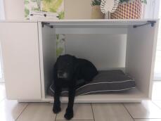 Dog laying in Omlet Fido Nook