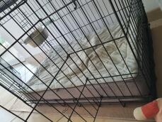 A grey bed placed in a dog crate