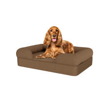 Dog sitting on medium mocha brown memory foam bolster dog bed