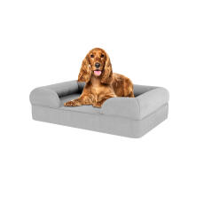 Dog sitting on medium stone grey memory foam bolster dog bed