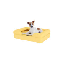 Dog sitting on small mellow yellow memory foam bolster dog bed