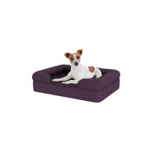 Dog sitting on small plum purple memory foam bolster dog bed