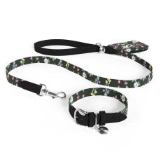 Dog lead, collar and poo bag holder as a bundle