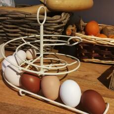 My marans, siciliana, livorno, lakenfelder, vorwerk and mugellese eggs