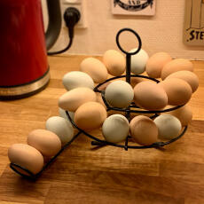 Eggs on black Omlet egg skelter