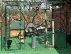Omlet outdoor catio with accessories and cats inside