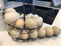 Different sizes eggs, small and large on a helter-skelter