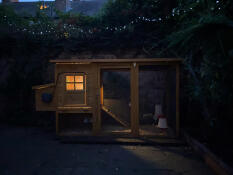 Our great Omlet door, set to time, and light on the inside of our wooden coop with the light coming on just before the door closes 