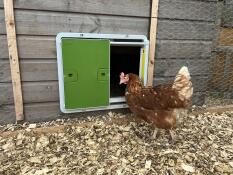 She is impressed with the build quality 