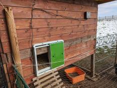 Omlet automatic chicken flap