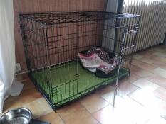 A transport cage for a dog made out of wire mesh