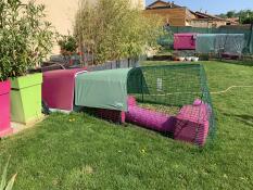 Purple Eglu Go rabbit hutch