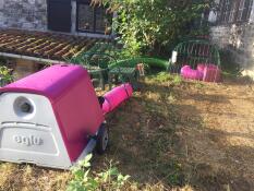 Two pink rabbit hutches with runs connected by a green tunnel