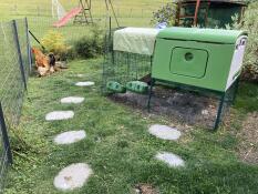 Chicken coop 