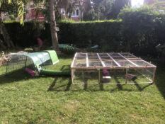 Too Good in the garden 