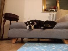 Very comfortable