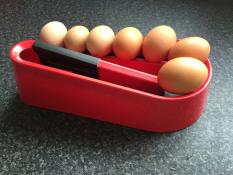 We've Got your back Omlet egg ramp