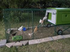 After only 2 days, the ladies are putting themselves to bed