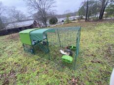 My bantams are in chicken heaven! I love the portability and completely enclosed system that Omlet offers. It’s perfection. 