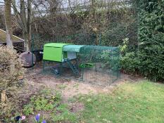 Omlet green Eglu Cube large chicken coop and run in garden
