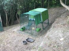 A green chicken coop with a 2m run and green cover in a backyard