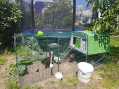A large green Cube chicken coop in a garden with a run and accessories, in a garden with a trampoline