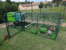 A green chicken coop with a 3m run and some accessories