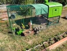 Chickens inside their coop with a 2 meter run, with accessories