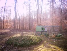 Eglue Cube with 3M extension - holds our 4 hens and is easy to move around the yard and the nearby woods.