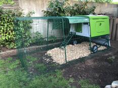 A large Eglu Cube chicken house with bark chippings underneath.