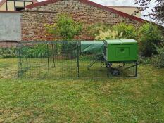 Omlet Eglu Cube large chicken coop and run in garden