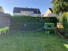 An Eglu Cube chicken house with a self made ramp.