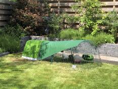 A green chicken coop and run with cover, in a garden