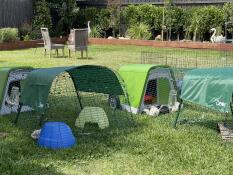 Two Eglu Go rabbit hutches in a garden.