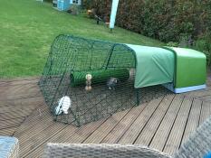 They love their new hutch