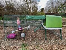 Some small chickens in the 2 meter run of their coop, a little girl in the background