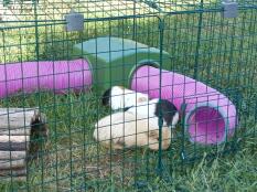 I am very happy with my pen. easy to assemble and disassemble. my 3 little guinea pigs are very safe.