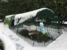 Our hutch Eglu Go under the Snow