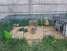 Omlet Zippi playpen