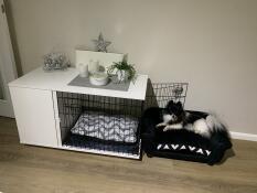 Omlet Fido Studio dog furniture