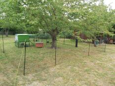 Green Omlet Eglu Cube large chicken coop and run and Omlet chicken fencing